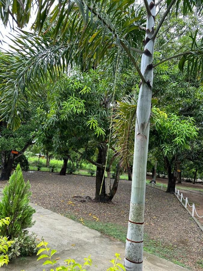 Campsite Mary-aguachica *